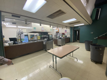 Food Service Serving